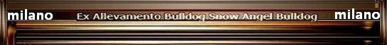 BULLDOG, Strikem, Burudoggu, Kennel