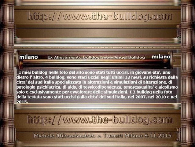 michele abbondandolo