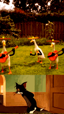 Animated-Ducks-With-Cat2023-11-05z25.gif