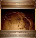 Bulldog