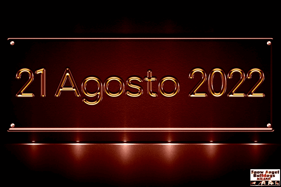 graphismes-de-Michel-Abbondandolo