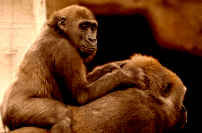 graphismes-de-Michel-Abbondandolo