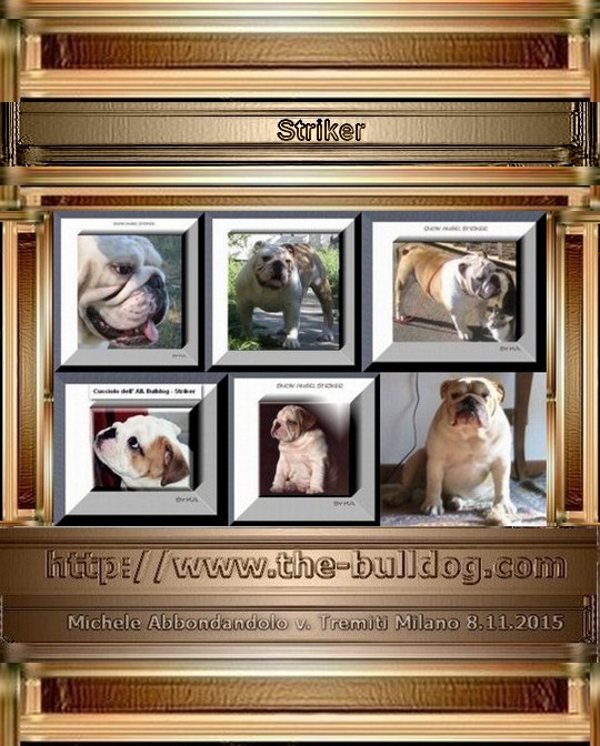 graphismes-de-Michel-Abbondandolo