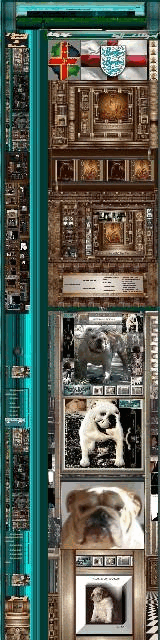 graphismes-de-Michel-Abbondandolo