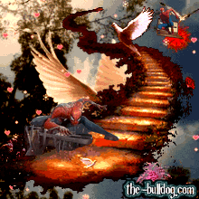 graphismes-de-Michel-Abbondandolo