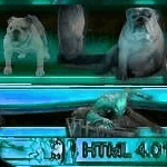 graphismes-de-Michel-Abbondandolo