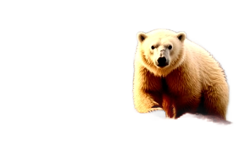 orso-polare-2023-11-14z4100.png